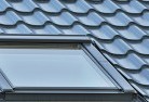 Barney Viewskylight-replacements.jpg; ?>